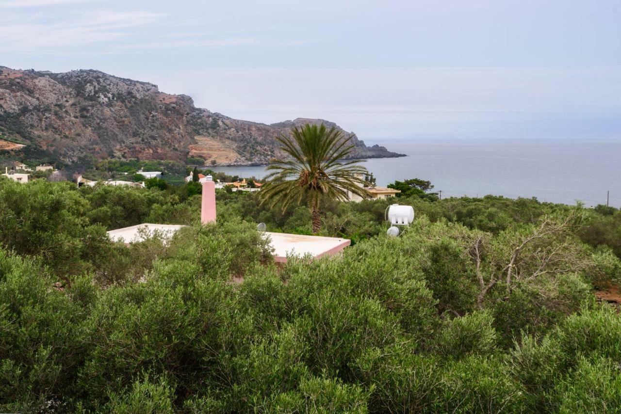 Palm Beach House Villa Sfinarion Exterior photo